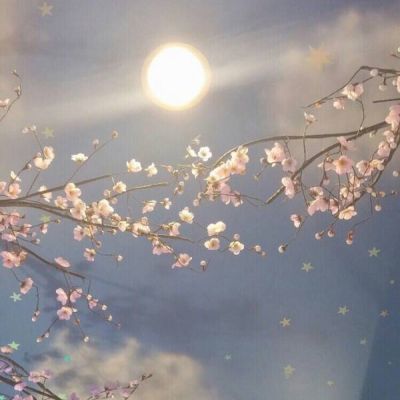 唯美意境的微信头像(精选24张)