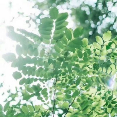 唯美意境的微信头像(精选24张)