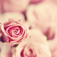 唯美意境的微信头像(精选24张)