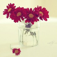 唯美意境的微信头像(精选24张)