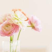 唯美意境的微信头像(精选24张)