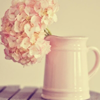 唯美意境的微信头像(精选24张)