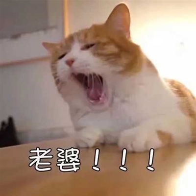 微信男女情侣头像(16张)