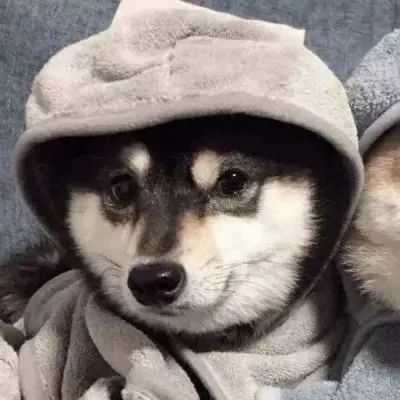 微信男女情侣头像(16张)