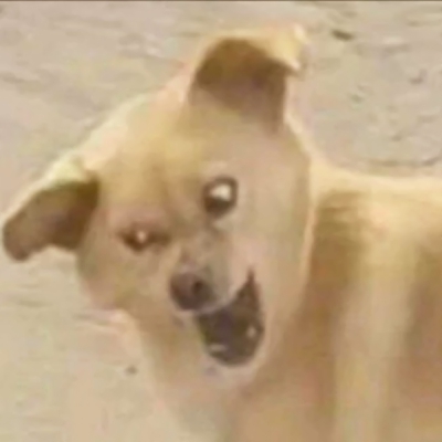 恶搞的情侣头像一对两张图片(22张)