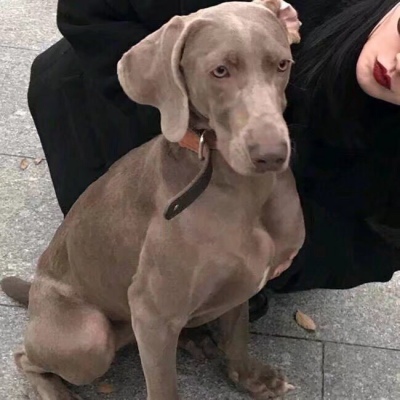 情侣头像可爱人物头像(精选28张)