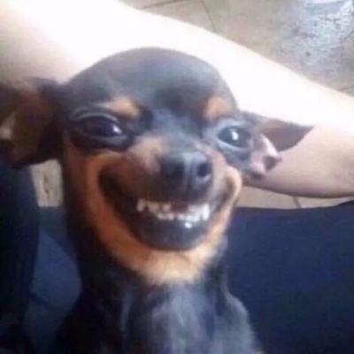 情侣头像可爱人物头像(精选28张)