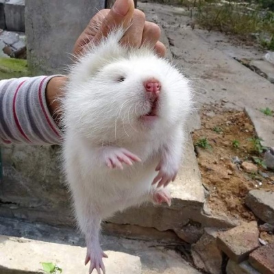 情侣头像可爱人物头像(精选28张)