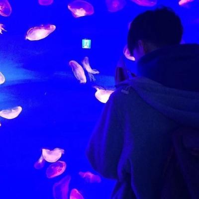 意境的情侣头像(24张)