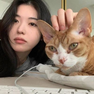 很有气质的情头(精选24张)