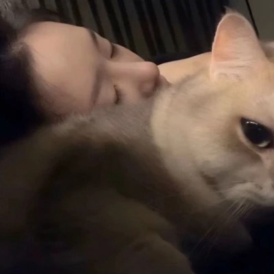 最近很火微信头像(22张)