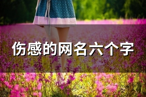 伤感的网名六个字(精选107个)