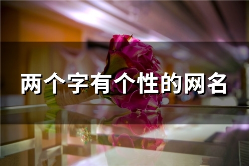 两个字有个性的网名(139个)