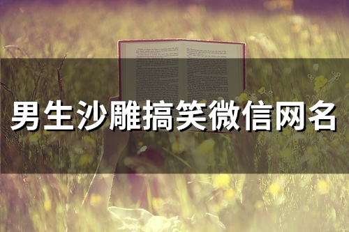 男生沙雕搞笑微信网名(133个)