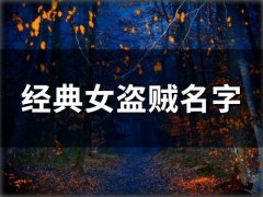 经典女盗贼名字(精选107个)