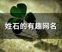姓石的有趣网名(90个)