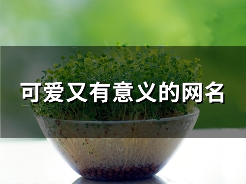 可爱又有意义的网名(精选107个)