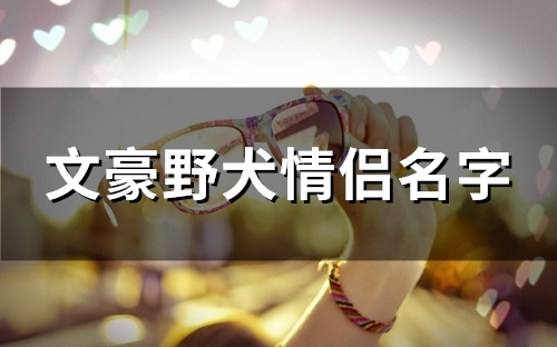 文豪野犬情侣名字(精选58个)