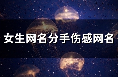 女生网名分手伤感网名(精选135个)