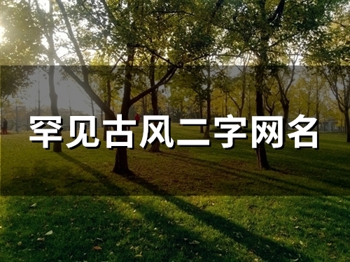 罕见古风二字网名(精选134个)