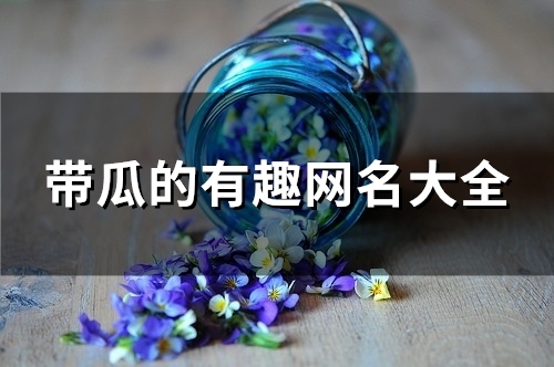 带瓜的有趣网名大全(84个)