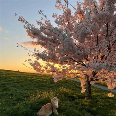 职业头像图片2023最火爆免费(30张)