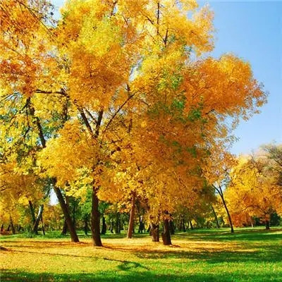 快手头像2023最火爆男(18张)