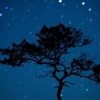 好运气的风景图片头像大全(24张)