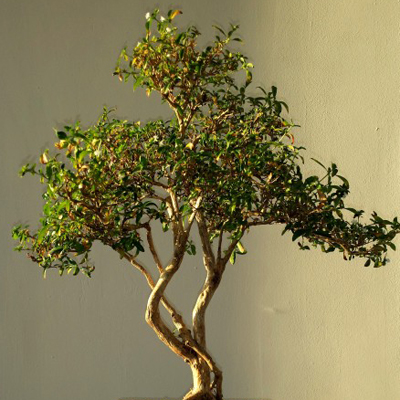 好运气的风景图片头像大全(24张)