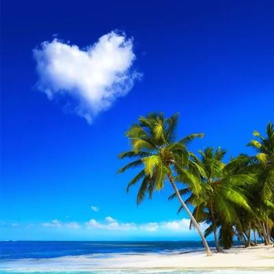 好运气的风景图片头像大全(24张)