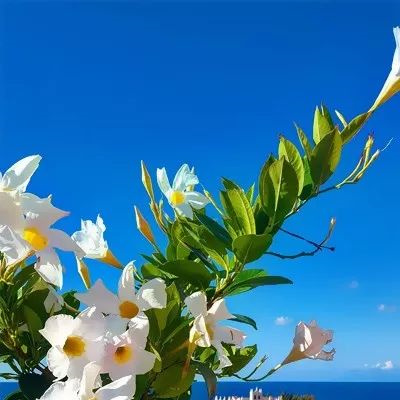 好运气的风景图片头像大全(24张)