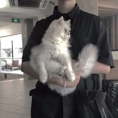 抖音爆火的丧头像(18张)