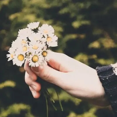 干净又好看的气质头像(精选20张)