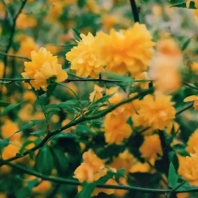 干净又好看的气质头像(精选20张)