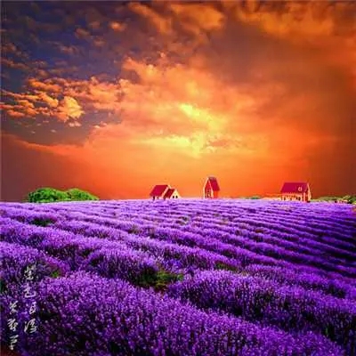 一生好运的女人微信头像(精选22张)