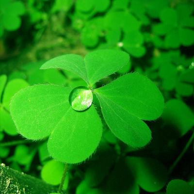 一生好运的女人微信头像(精选22张)