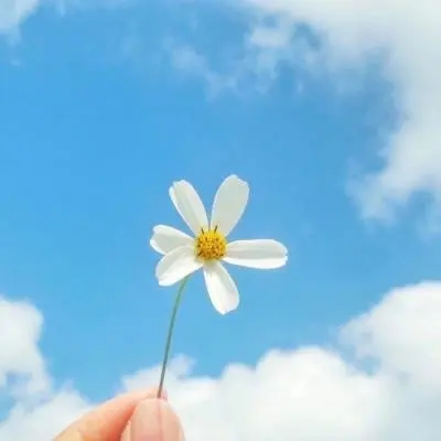 一生好运的女人微信头像(精选22张)