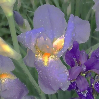 中年女士专用头像(精选18张)