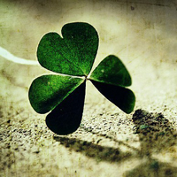 四叶草的幸福微信头像(24张)