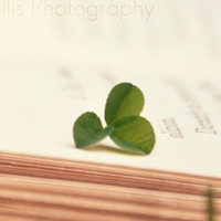 四叶草的幸福微信头像(24张)