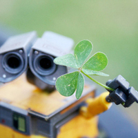 四叶草的幸福微信头像(24张)