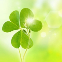 四叶草的幸福微信头像(24张)