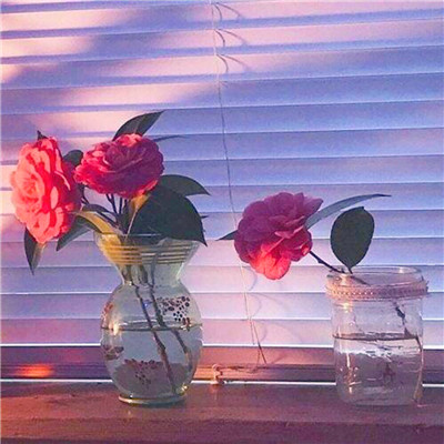 二零二三年好运微信头像(24张)