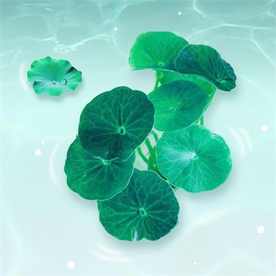 女人招财运的微信头像(精选24张)