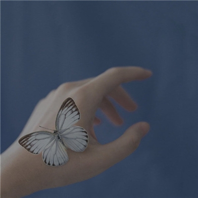 简约大气的微信头像(精选24张)