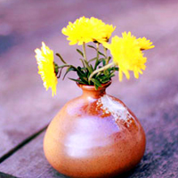 风景花草的微信头像(34张)