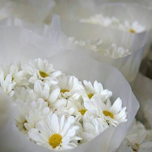 风景花草的微信头像(34张)