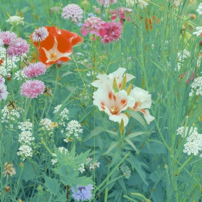 风景图片头像微信头像大全(精选32张)