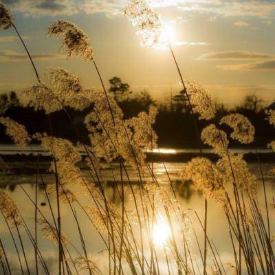 风景图片头像微信头像大全(精选32张)