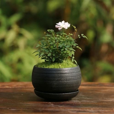 风景图片头像微信头像大全(精选32张)